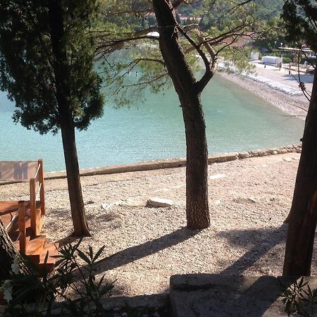Apartment Biserka Cavtat Habitación foto