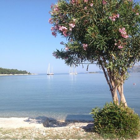 Apartment Biserka Cavtat Habitación foto