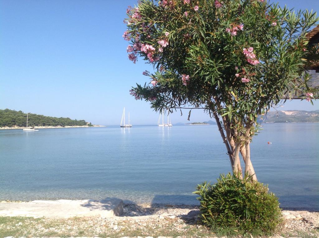 Apartment Biserka Cavtat Habitación foto